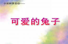 小班科学活动可爱的兔子PPT课件