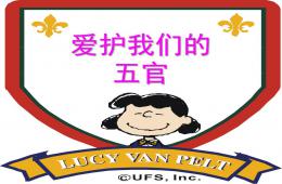 中班健康爱护我们的五官PPT课件