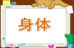 小班英语身体PPT课件