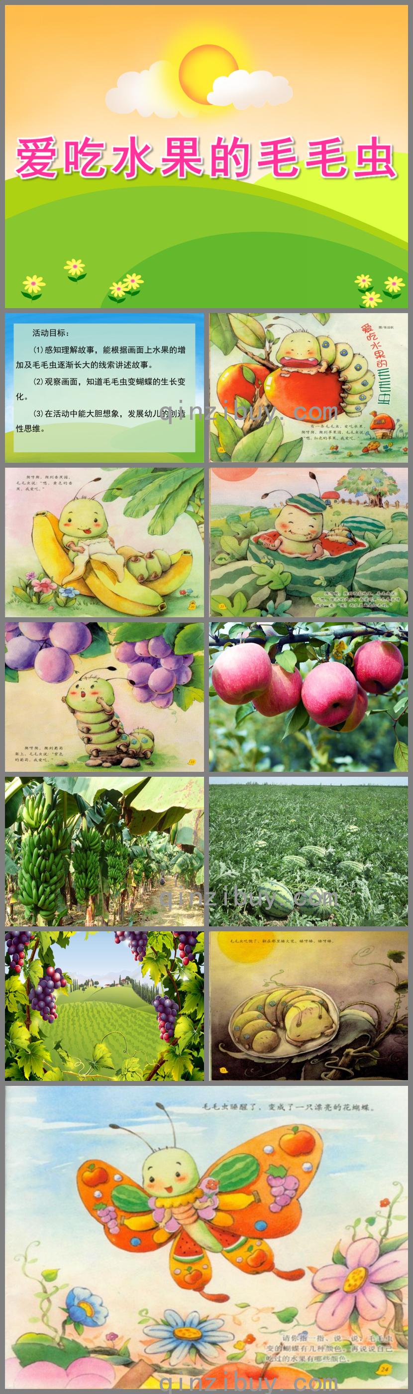 中班语言爱吃水果的毛毛虫PPT课件