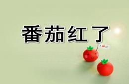 小班语言番茄红了PPT课件