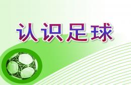 大班体育认识足球PPT课件