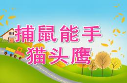中班科学捕鼠能手-猫头鹰PPT课件