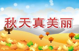 中班语言秋天真美丽PPT课件