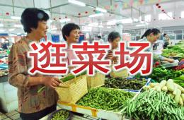 大班社会逛菜场PPT课件
