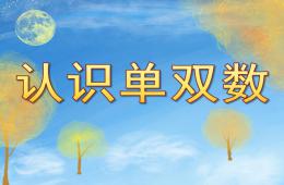 大班数学认识单双数PPT课件