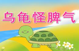 中班语言乌龟怪脾气PPT课件音乐