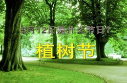 幼儿园大班植树节活动PPT课件