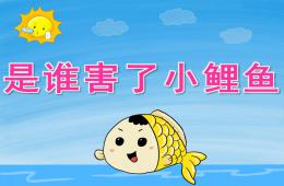 大班语言是谁害了小鲤鱼PPT课件动画