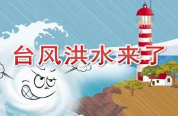 大班科学台风洪水来了PPT课件