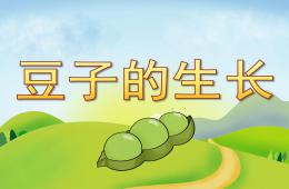 中班科学豆子的生长PPT课件