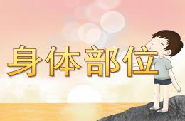 大班健康身体部位PPT课件