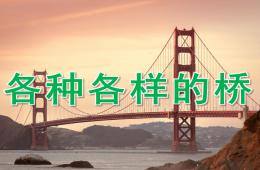 大班科学各种各样的桥PPT课件