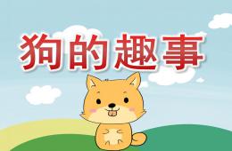 大班主题狗的趣事PPT课件