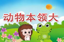 大班科学动物本领大PPT课件