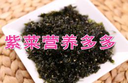 大班健康紫菜营养多多PPT课件