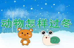 大班科学动物怎样过冬PPT课件