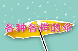 中班科学各种各样的伞PPT课件