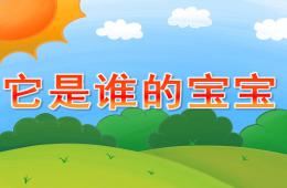 小班科学它是谁的宝宝PPT课件