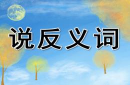 小班语言说反义词PPT课件