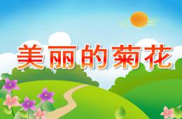 小班科学美丽的菊花PPT课件