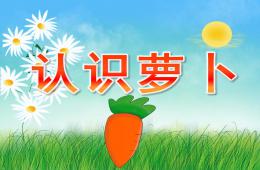小班科学认识萝卜PPT课件