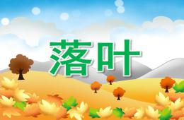 小班音乐儿歌落叶PPT课件