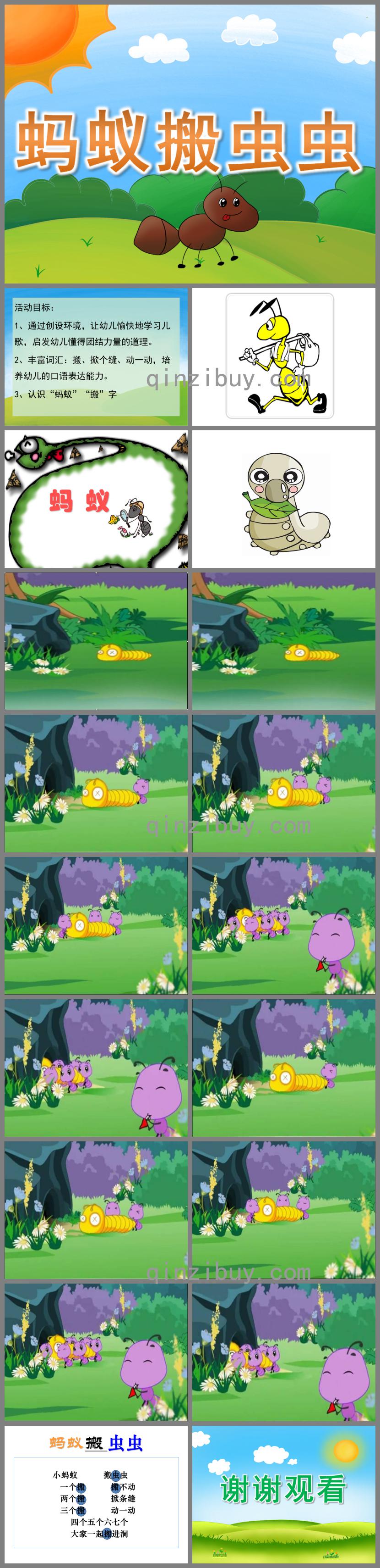 小班语言蚂蚁搬虫虫PPT课件