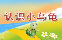 小班科学认识小乌龟PPT课件歌曲