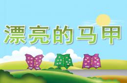 大班数学漂亮的马甲PPT课件