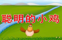 大班语言故事聪明的小鸡PPT课件音乐配音
