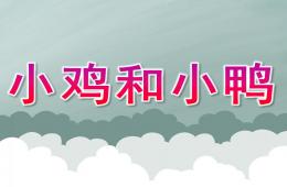 小班科学活动课小鸡和小鸭PPT课件