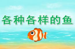 大班美术各种各样的鱼PPT课件