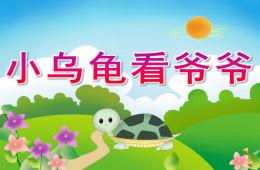 中班小乌龟看爷爷PPT课件配音音乐