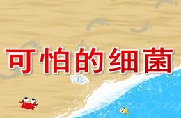 大班科学可怕的细菌PPT课件