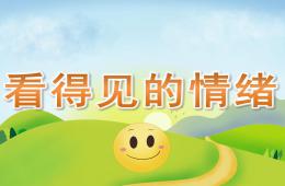 大班看得见的情绪PPT课件