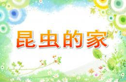 中班科学活动昆虫的家PPT课件