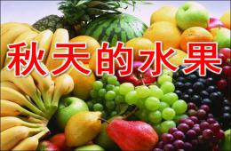 大班语言秋天的水果PPT课件