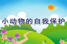 大班科学小动物的自我保护PPT课件