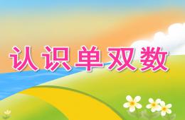 大班数学公开课认识单双数PPT课件