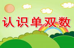 大班数学认识单双数PPT课件