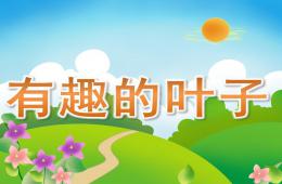 中班科学有趣的叶子PPT课件
