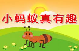 小班听说游戏小蚂蚁真有趣PPT课件