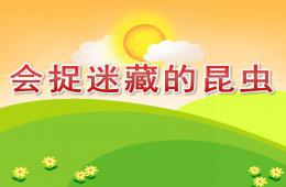 中班科学会捉迷藏的昆虫PPT课件