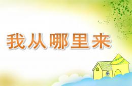 幼儿园科学我从哪里来PPT课件