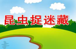 中班科学昆虫捉迷藏PPT课件