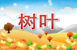 中班语言说课树叶PPT课件