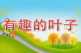 中班科学活动有趣的叶子PPT课件