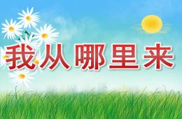 大班我从哪里来PPT课件