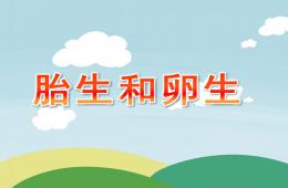 大班科学活动胎生和卵生PPT课件